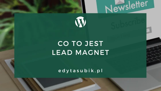 Read more about the article Co to jest lead magnet? Pomysły na lead magnet